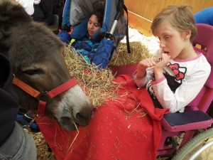 Tiergestützer Unterricht 3