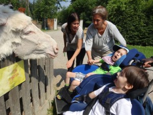 Tiergestützer Unterricht 4